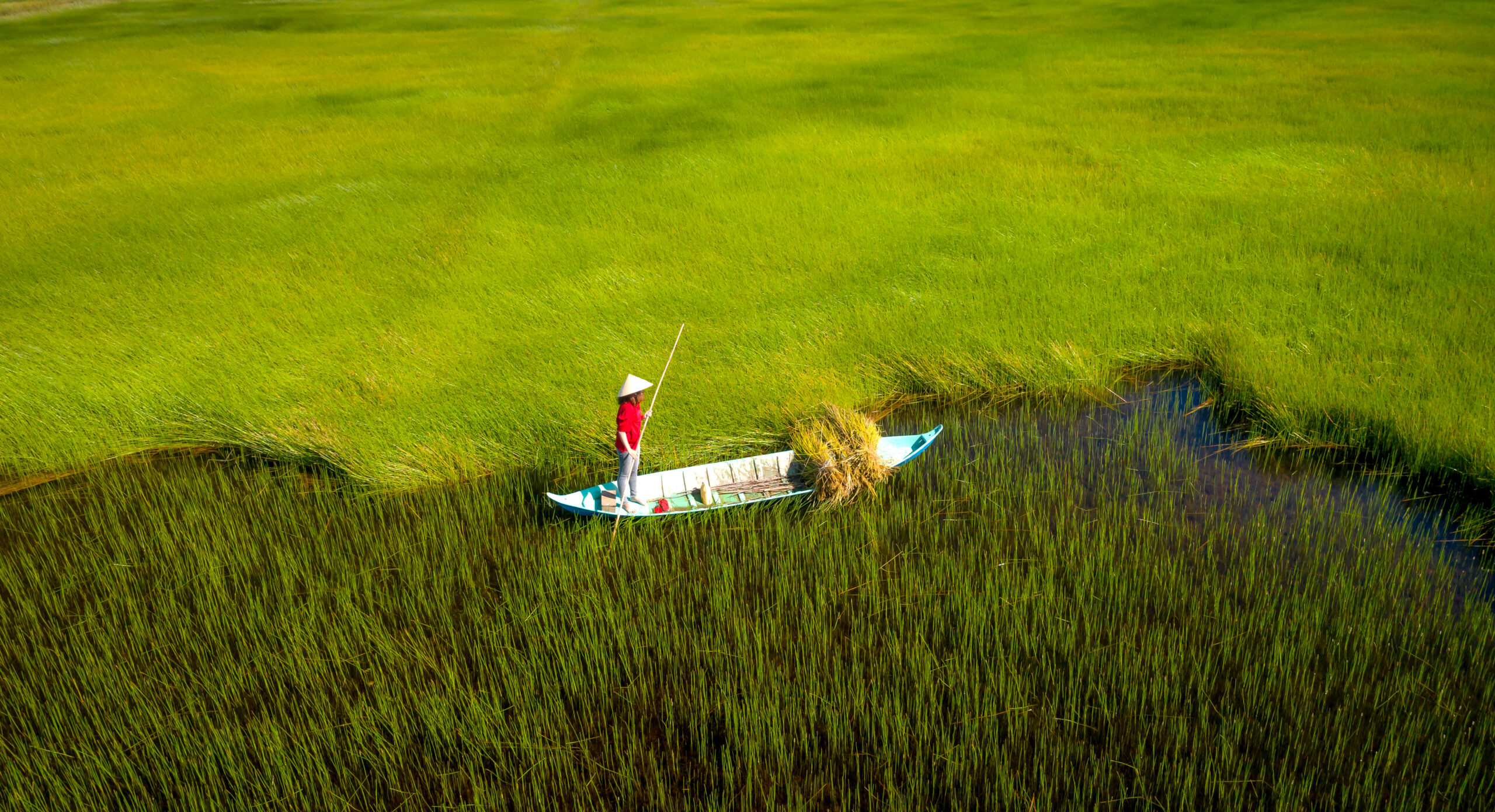 TechCoop Secures $28 Million Investment Led by BlueOrchard to Bolster Vietnam's Climate Resilience