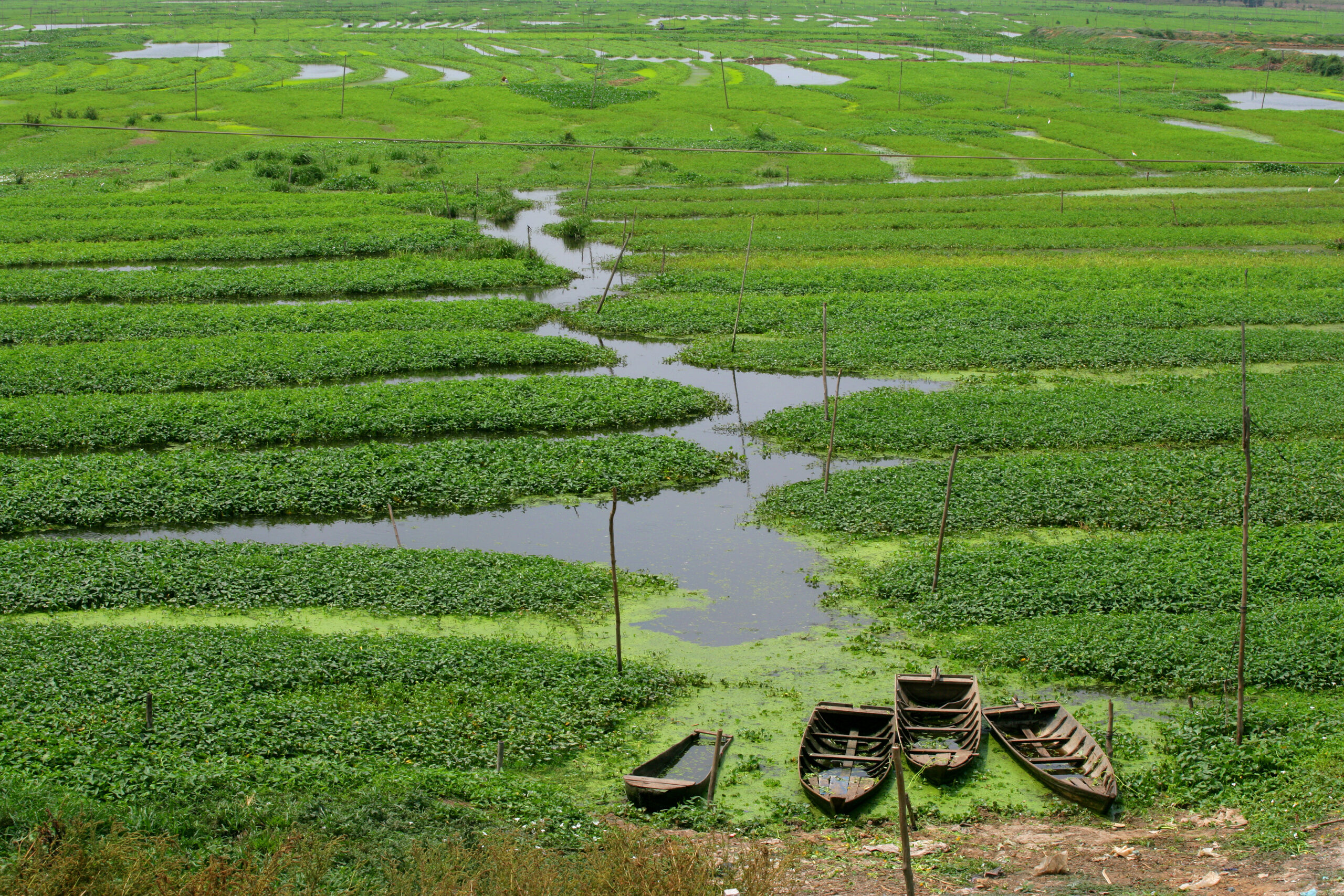 Reask Secures Investment to Bolster Climate Risk Solutions