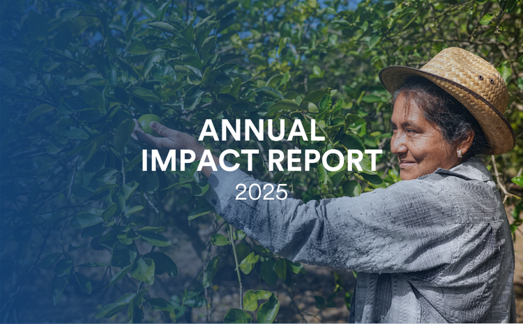BOIC annual impact snapshot - BlueOrchard Impact Credit