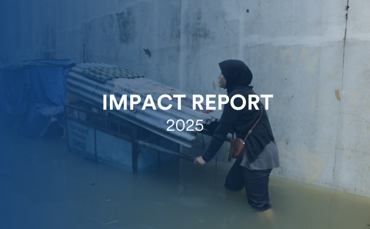 IIF impact report 2025 - climate insurance strategy impac
